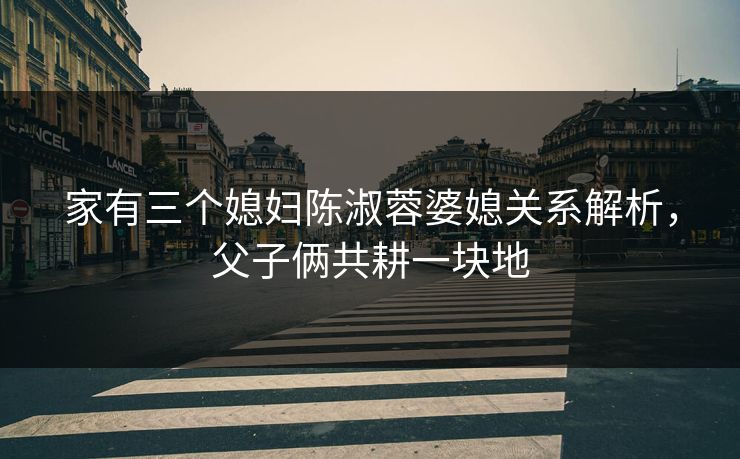 家有三个媳妇陈淑蓉婆媳关系解析，父子俩共耕一块地