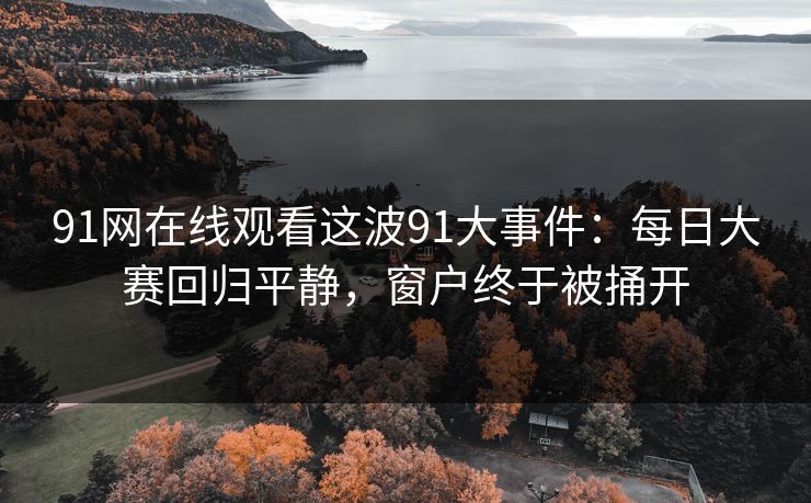 91网在线观看这波91大事件：每日大赛回归平静，窗户终于被捅开