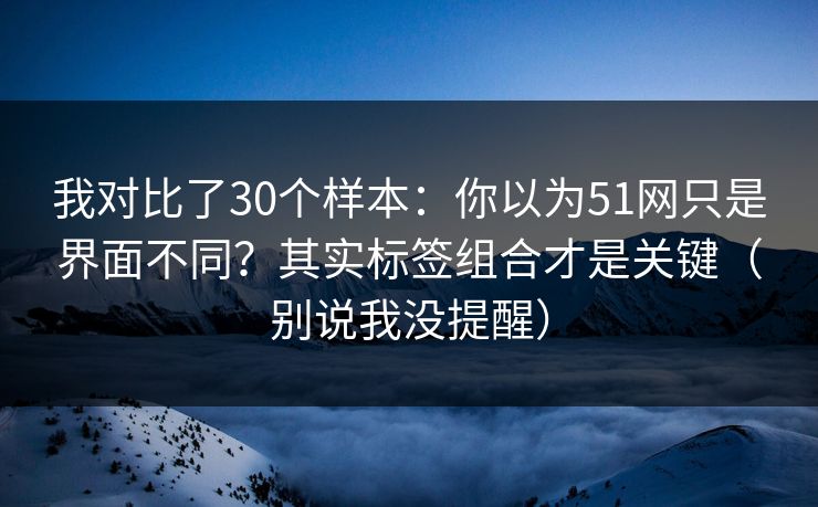 我对比了30个样本：你以为51网只是界面不同？其实标签组合才是关键（别说我没提醒）