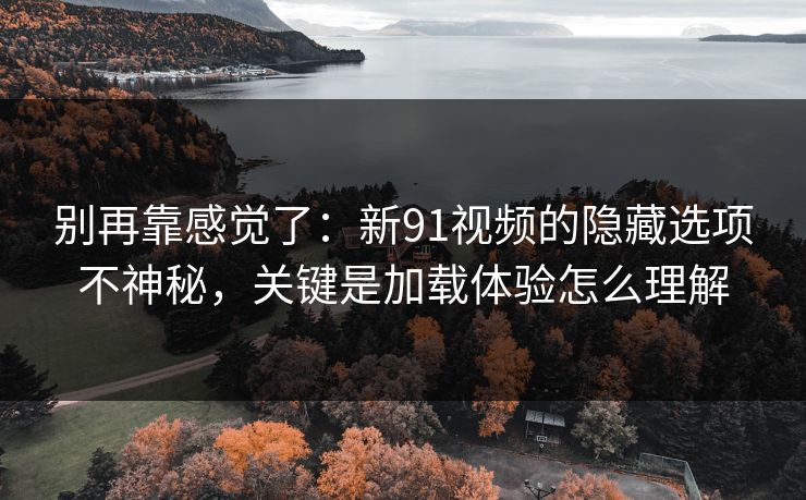 别再靠感觉了:新91视频的隐藏选项不神秘,关键是加载体验怎么理解